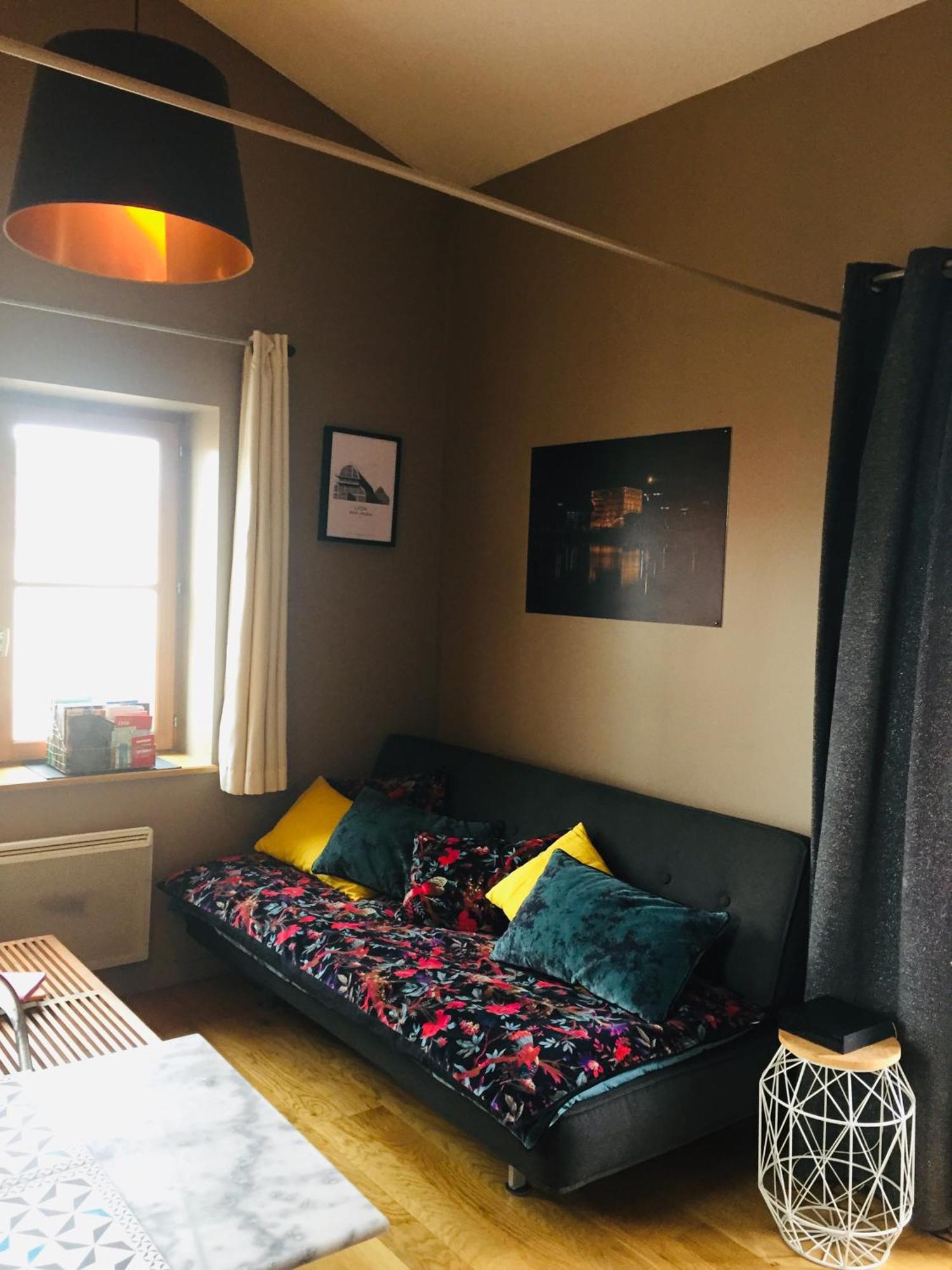 Les Toits De Lyon Apartment Luaran gambar